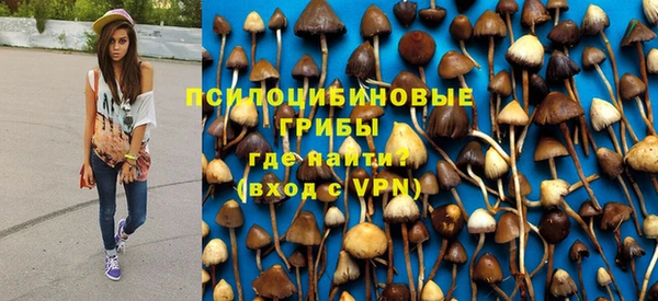 ПСИЛОЦИБИНОВЫЕ ГРИБЫ Володарск