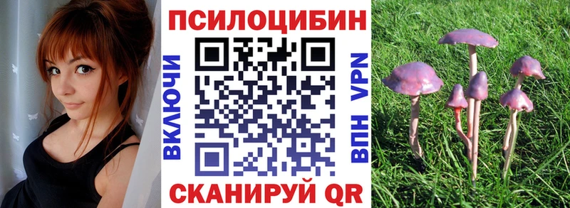 Псилоцибиновые грибы мицелий где найти наркотики MEGA рабочий сайт Каргат